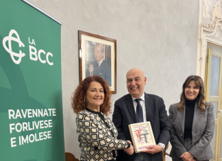 Bricks of sisterhood: percorso artistico per i 30 anni di SOS Donna