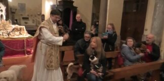 La benedizione degli animali a Sant’Agata Maggiore