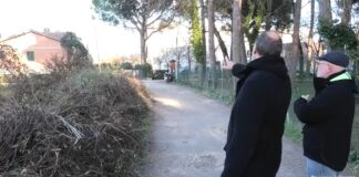 Discarica abusiva di ramaglie in via Fiume Abbandonato. “Bisogna intervenire”