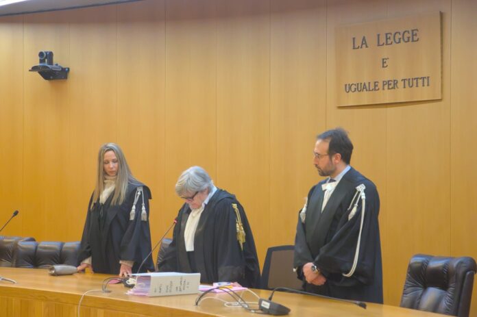 WhatsApp Image 2025-01-23 at 16.56.59