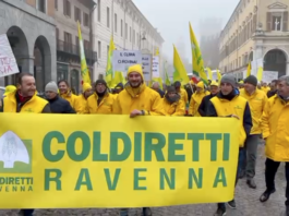 Migliaia di agricoltori a Bologna per difendere il Made in Italy