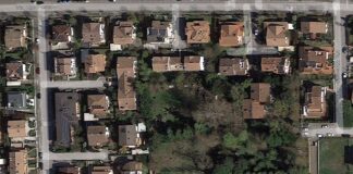 Italia Nostra: Abbattimento di un bosco privato in zona via Vicoli