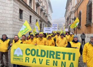 Coldiretti: “Sblocco fondi Agricat e assicurazioni sono la risposta a migliaia di aziende agricole”