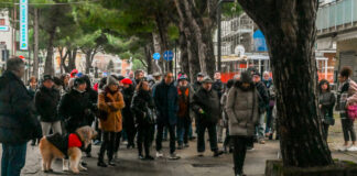 “Salviamo i pini di Lido di Savio e Ravenna”: Successo della visita guidata ai pini di Lido di Savio, ma il Comune nega prove strumentali tramite tecnici dei cittadini.