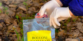 Bassa Romagna: lotta ai bocconi avvelenati, continua la campagna di sensibilizzazione