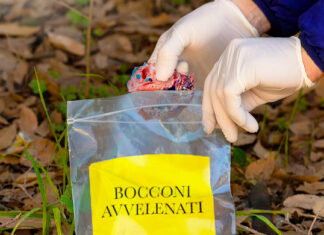 Bassa Romagna: lotta ai bocconi avvelenati, continua la campagna di sensibilizzazione