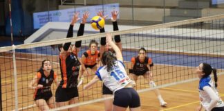 Volley: La Fenix Energia perde a Rimini