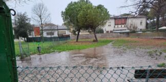 Biondi (LpRa): Allagato lo sgambamento cani del parco Gugù in via Augusta Rasponi