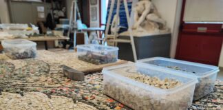 Open Week Accademia di Belle Arti di Ravenna