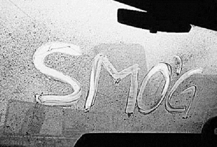 IMG_20250205_082550_564