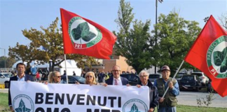 Mingozzi (PRI): “Il no al rigassificatore non ha alcun senso”