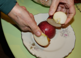 Donne che traducono: nuovo ciclo di incontri alla Classense