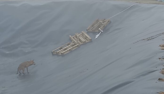 Screenshot_20250124_124958_Gallery