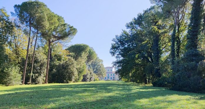 Villa Monaldina Archi_bosco nel retro1