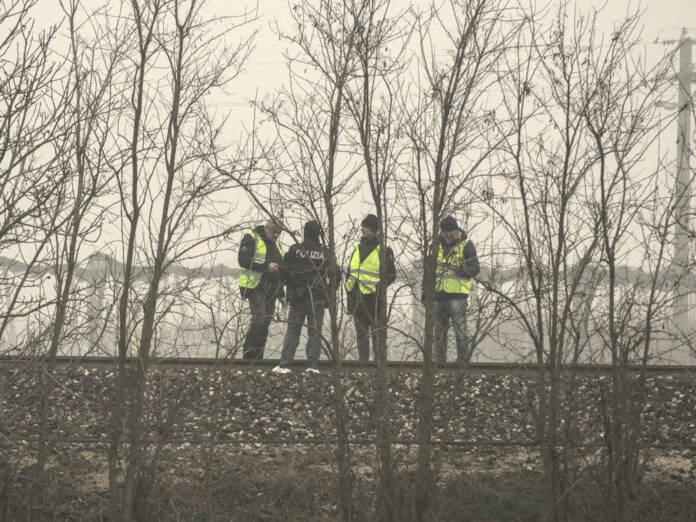 WhatsApp Image 2025-02-25 at 11.13.50