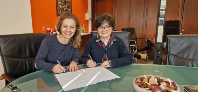 WhatsApp Image 2025-02-27 at 13.11.22