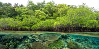 Cambiamenti della biodiversità e pesca sportiva: un incontro per approfondire il legame tra clima, sport e turismo