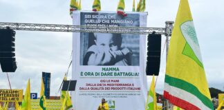 Coldiretti: Con 65 milioni di litri è invasione di olio straniero, allarme frodi