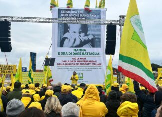 Coldiretti: Con 65 milioni di litri è invasione di olio straniero, allarme frodi