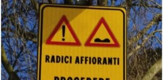Esposito (FdI): “Evoluzione del cartello degrado da radici in radici affioranti”