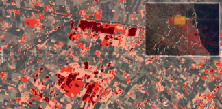 L’università californiana UC Davis in campo con TIMAC AGRO per ridare fertilità ai suoli romagnoli