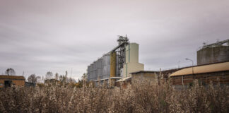 IF Festival ripensa gli spazi industriali: tre appuntamenti a Ravenna e provincia,
