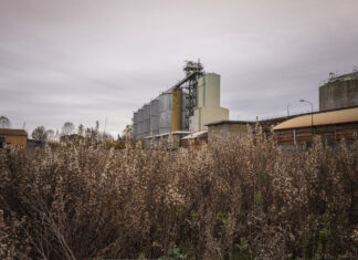 IF Festival ripensa gli spazi industriali: tre appuntamenti a Ravenna e provincia,