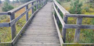 Nicola Grandi (FdI- FI- VR): Parco Marittimo. “Dietro la narrazione trionfalistica della sinistra si cela una realtà ben diversa”