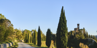 Orari primaverili Musei di Brisighella e orari apertura in occasione dei ponti primaverili