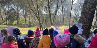 Mese dell’Albero in festa, al via l’edizione 2025