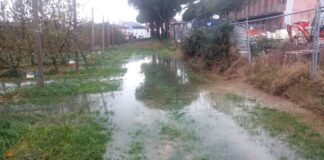 Ancisi (LpRa): “I terreni dell’azienda agricola perdisa allagati da ottobre. Danno per la scuola”