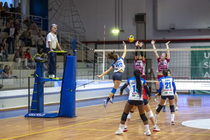 Fenix Energia serie D