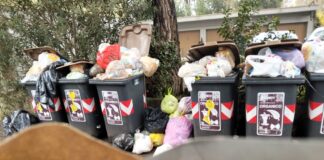 Ancisi (LpRa): sommerso dai rifiuti e dai topi il quartiere delle case popolari di via Eraclea