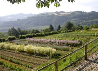 Il Piatto Verde raggiunge la 30^ edizione