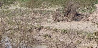 La Pigna: Fessurazioni lungo il Lamone