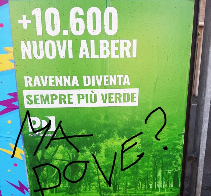 IMG_20250317_080618_344