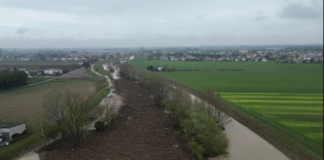 Ammonite: la legna si accumula lungo il Lamone