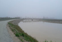 Vignali (FI): “Chiarire se le opere sull’argine sinistro del Lamone garantiscono la sicurezza del territorio”