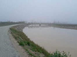 Vignali (FI): “Chiarire se le opere sull’argine sinistro del Lamone garantiscono la sicurezza del territorio”