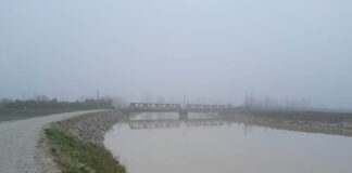 Vignali (FI): “Chiarire se le opere sull’argine sinistro del Lamone garantiscono la sicurezza del territorio”