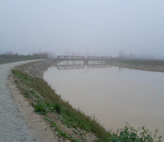 Vignali (FI): “Chiarire se le opere sull’argine sinistro del Lamone garantiscono la sicurezza del territorio”