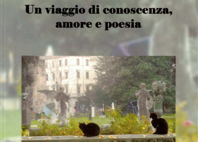 Schermata 2025-03-03 alle 12.01.29