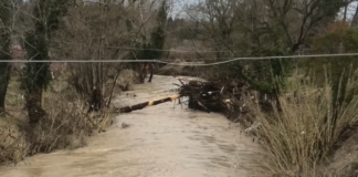 Caduti fino a 200 millimetri di pioggia sul Lamone: precipitazioni paragonabili a quelle delle alluvioni precedenti