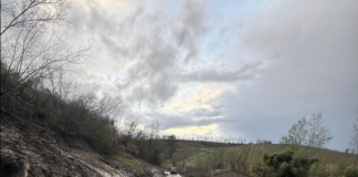 Riolo Terme: rimossa la frana lungo via Rio Basino