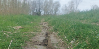 Crepe nell’argine anche a Savarna