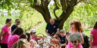 Pink Lady celebra i meleti in fiore con un evento a Faenza