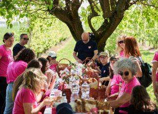 Pink Lady celebra i meleti in fiore con un evento a Faenza