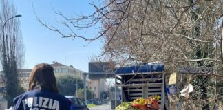 Vendita abusiva di mimose. Multato ed allontanato