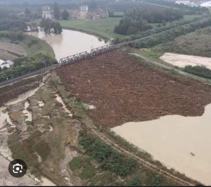 WhatsApp Image 2025-03-11 at 07.45.18