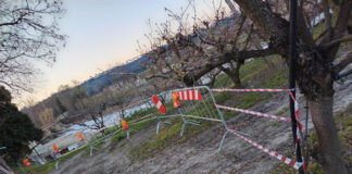 Faenza: aggiornamento Chiusa Errano, rimozione tronchi e muro via Renaccio